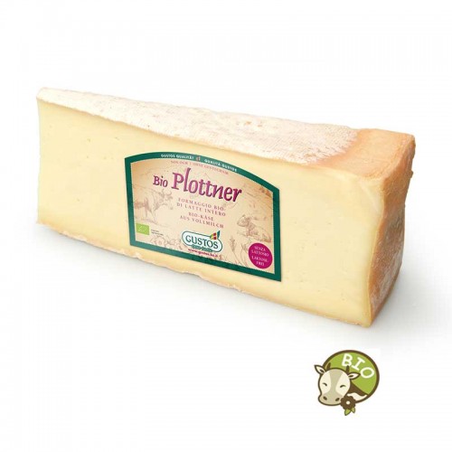 Formaggio biologico tipo Fontal