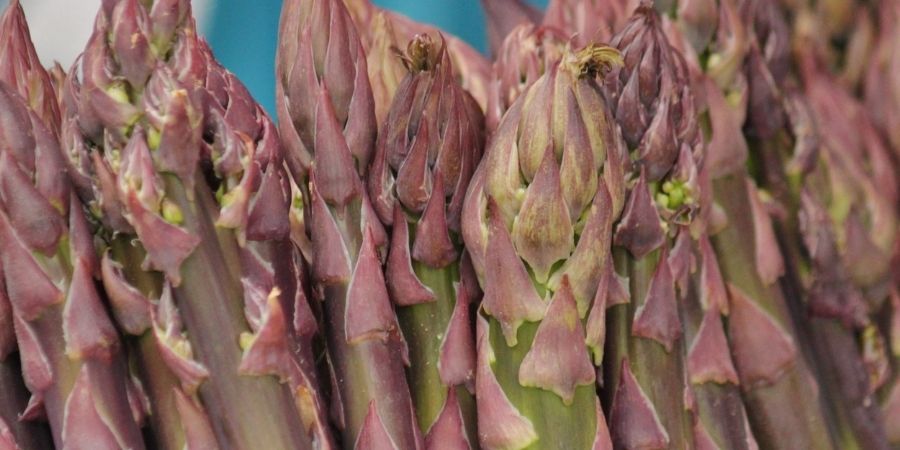 impiattare risotto zucca