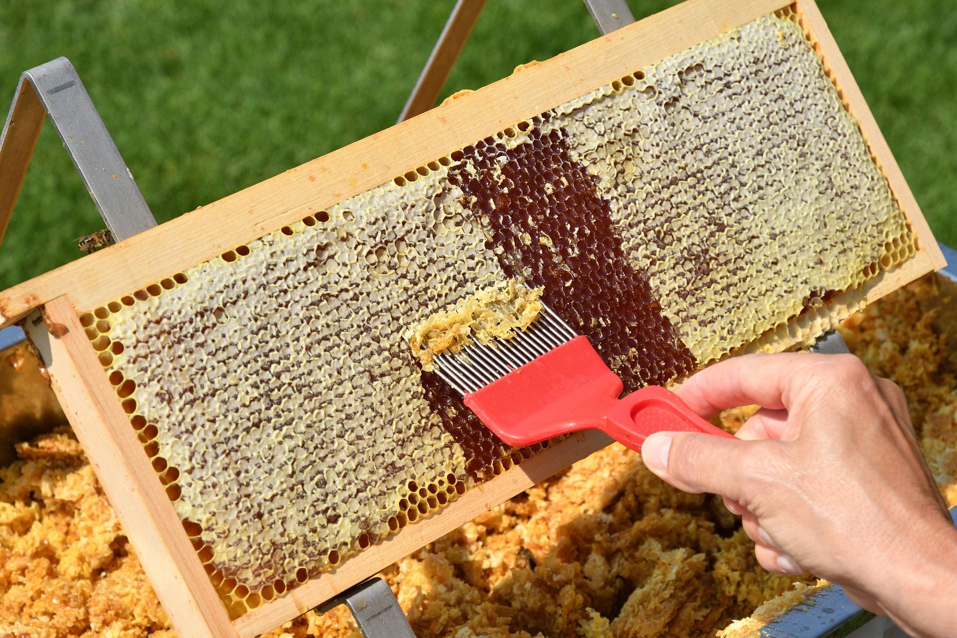 miele lavorazione