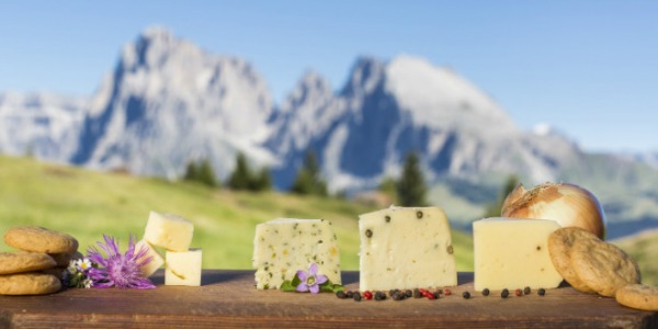 Come si fa il buon formaggio dell’Alto Adige?