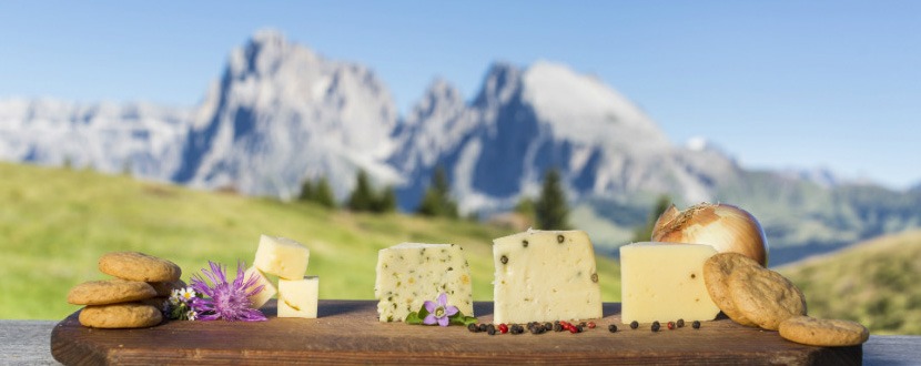 Come si fa il buon formaggio dell’Alto Adige?